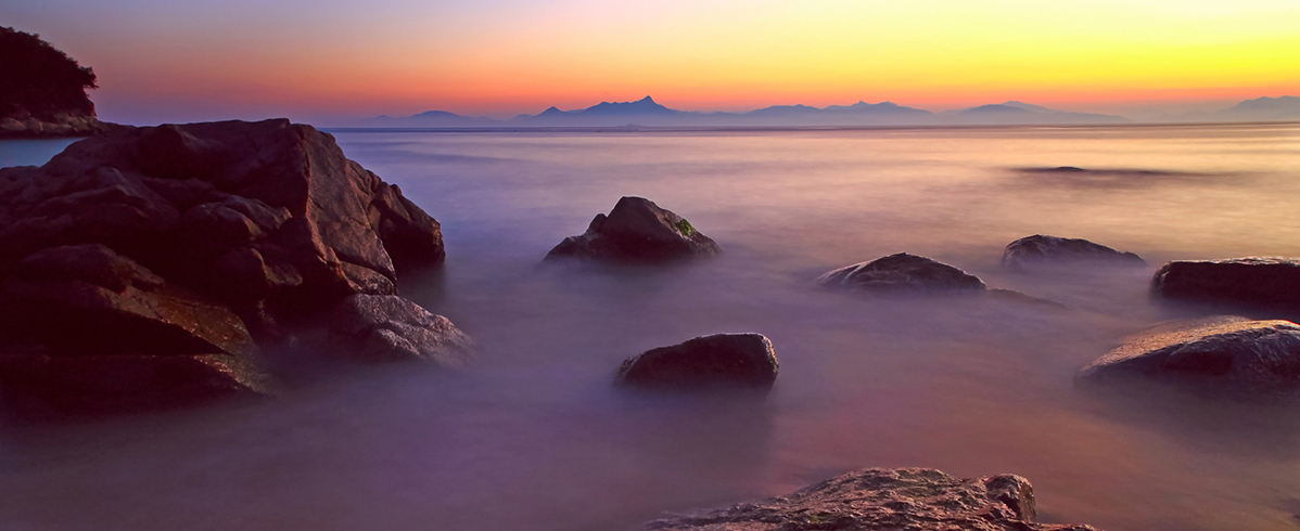 �ڲ�����Ϸ������(�й�)רҵ����,����Ϊ��