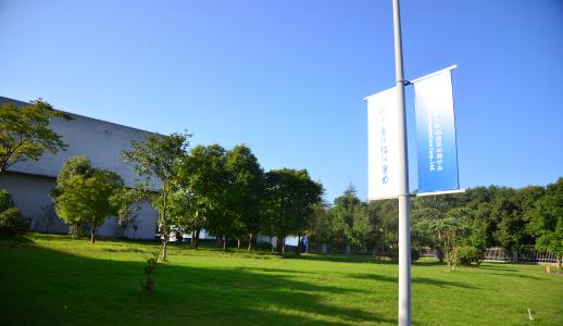 �ڲ�����Ϸ������(�й�)רҵ����,����Ϊ��